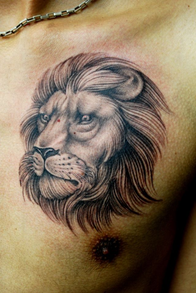 胸,ライオン,ポートレートタトゥー/刺青デザイン画像
