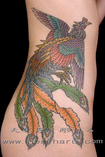 腰,腹,女性,お尻,脇腹,お腹,鳳凰,鳳凰羽,カラータトゥー/刺青デザイン画像