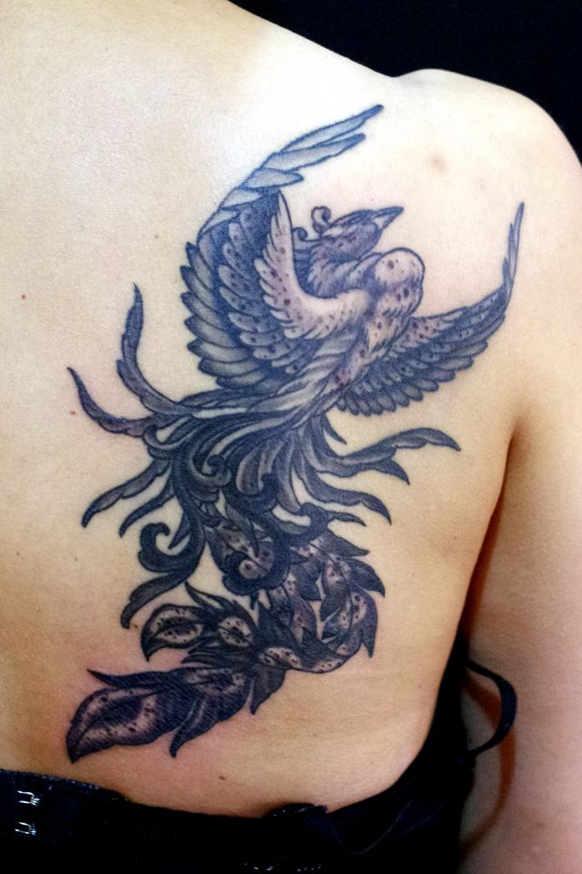 鳳凰,女性,背中,ブラック＆グレータトゥー/刺青デザイン画像
