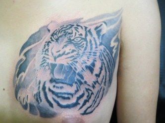 胸,虎,ブラック＆グレイ,ブラック＆グレータトゥー/刺青デザイン画像