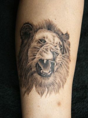 足,ライオン,ワンポイント,ブラック＆グレータトゥー/刺青デザイン画像