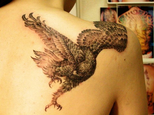 肩,鷹,ブラック＆グレー,鳥,動物タトゥー/刺青デザイン画像