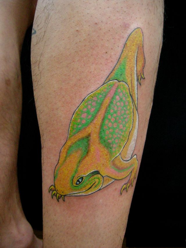 足,ふくらはぎ,男性,蛙,カラータトゥー/刺青デザイン画像