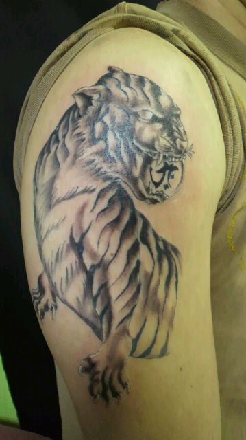 肩,虎,ブラック＆グレータトゥー/刺青デザイン画像