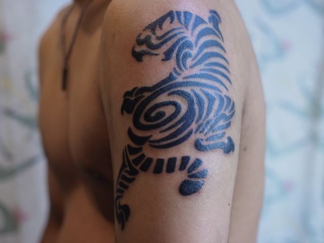 腕,二の腕,虎,トライバルタトゥー/刺青デザイン画像