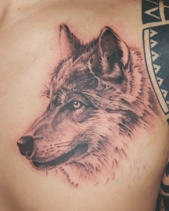 狼,ポートレイト,ブラック＆グレータトゥー/刺青デザイン画像