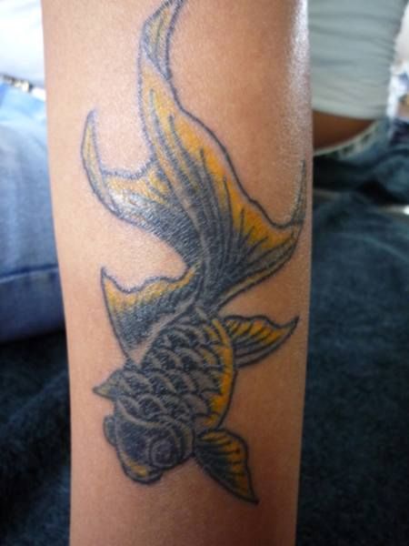 足,金魚,カラータトゥー/刺青デザイン画像