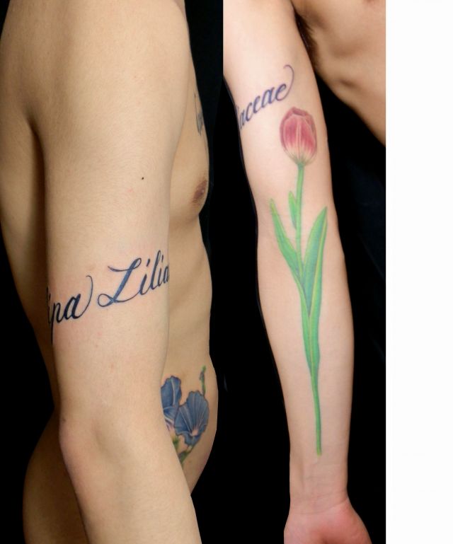 チューリップ,文字,腕タトゥー/刺青デザイン画像