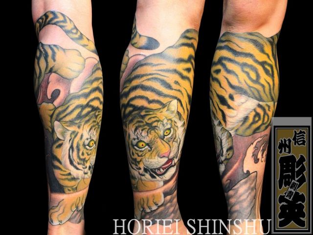 足,ふくらはぎ,男性,虎,カラータトゥー/刺青デザイン画像