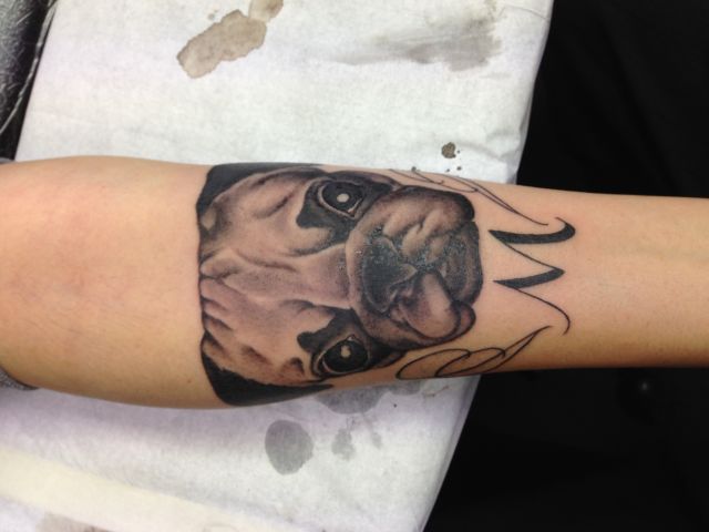 腕,犬,ブラック＆グレイ,ブラック＆グレー,ブラック＆グレイタトゥー/刺青デザイン画像