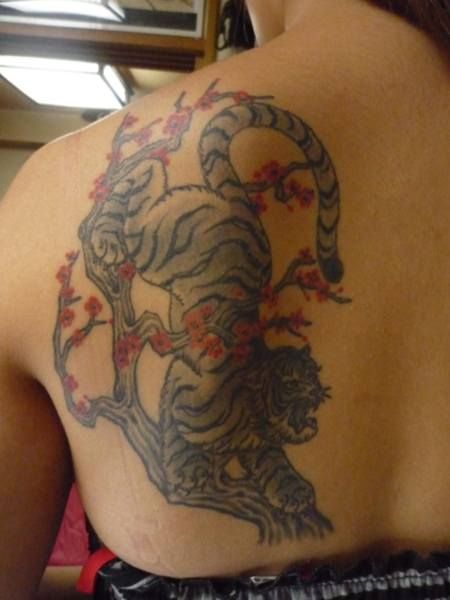 背中,虎,カラータトゥー/刺青デザイン画像