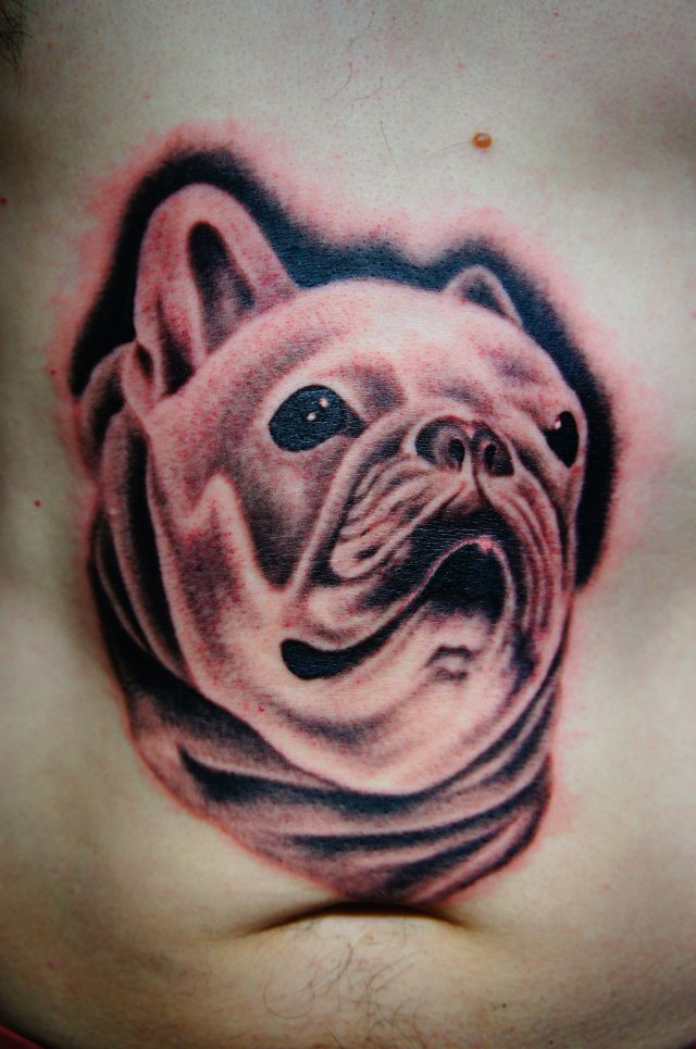 お腹,ポートレート,犬タトゥー/刺青デザイン画像