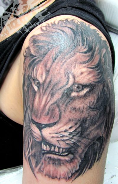 肩,肩腕,ライオン,ブラック＆グレイ,ブラック＆グレータトゥー/刺青デザイン画像