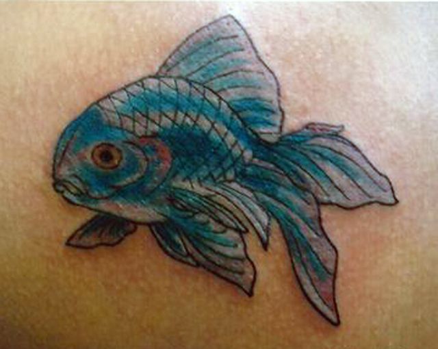 腕,金魚,カラー,カラフルタトゥー/刺青デザイン画像
