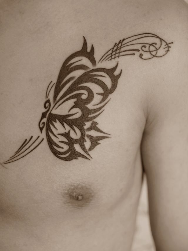 胸,蝶,バタフライ,ワンポイント,トライバル,トライバルタトゥータトゥー/刺青デザイン画像