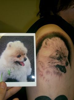 ワンポイント,犬,腕タトゥー/刺青デザイン画像