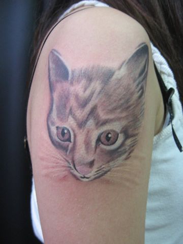腕,猫,ブラック＆グレー,ワンポイント,動物タトゥー/刺青デザイン画像