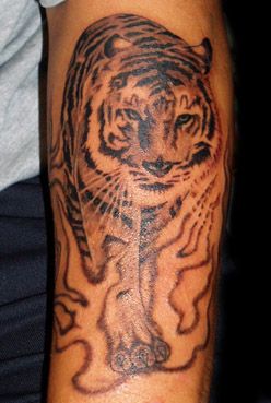 腕,ポートレート,虎,ブラック＆グレー,動物タトゥー/刺青デザイン画像