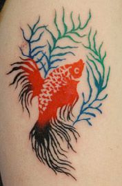 金魚タトゥー/刺青デザイン画像