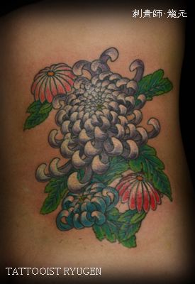 菊,ワンポイント,花,植物タトゥー/刺青デザイン画像