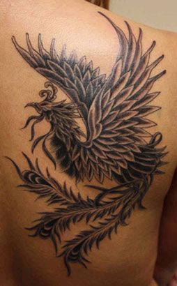 鳳凰,背中,ブラック＆グレー,抜きタトゥー/刺青デザイン画像