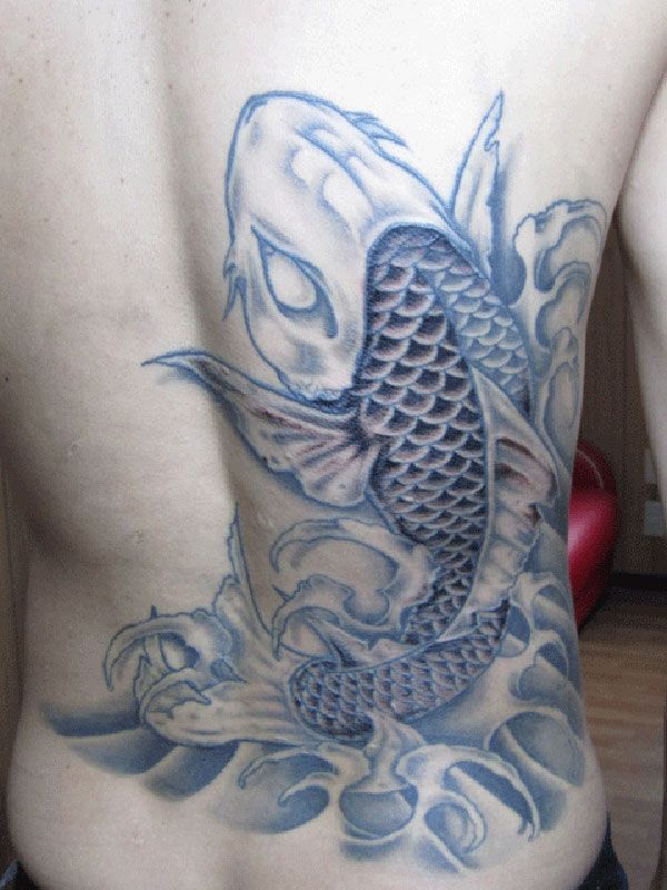 鯉,背中,額,腰タトゥー/刺青デザイン画像