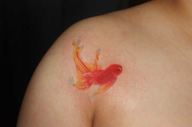 胸,男性,鎖骨,ワンポイント,金魚,カラータトゥー/刺青デザイン画像