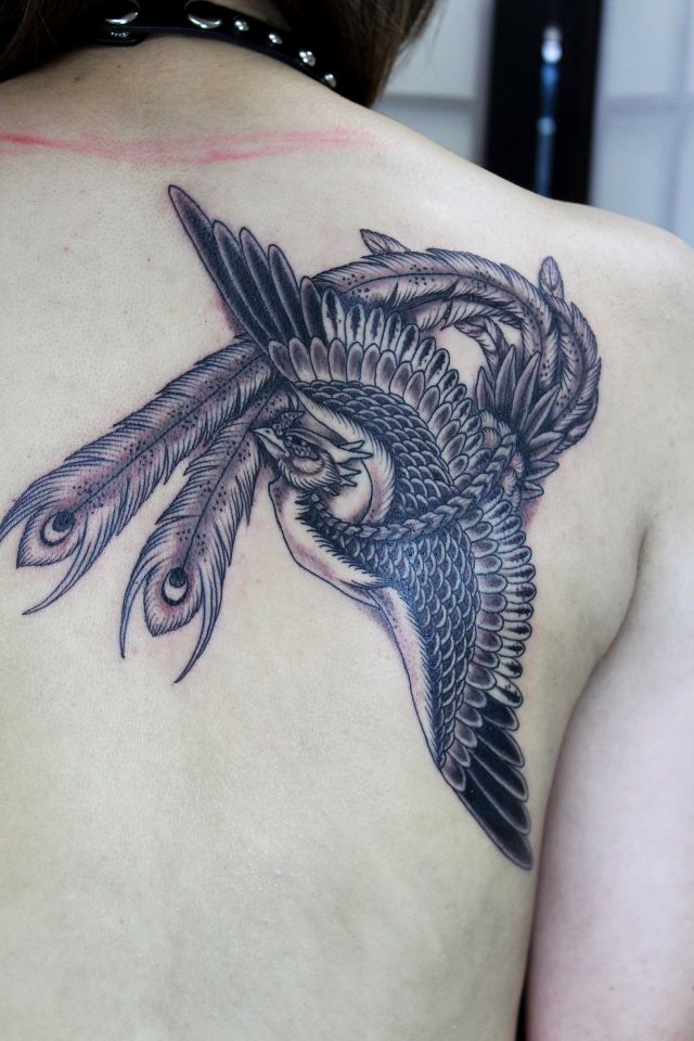 背中,肩,女性,鳳凰,羽,ブラック＆グレータトゥー/刺青デザイン画像