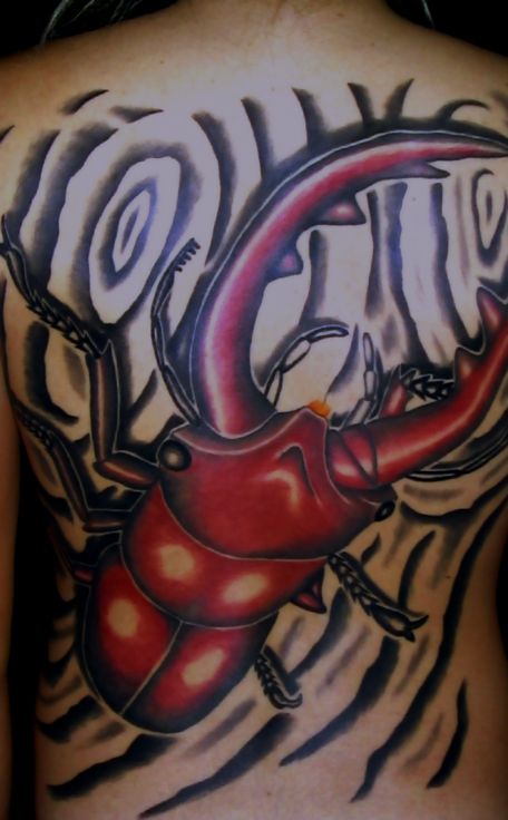背中,昆虫タトゥー/刺青デザイン画像