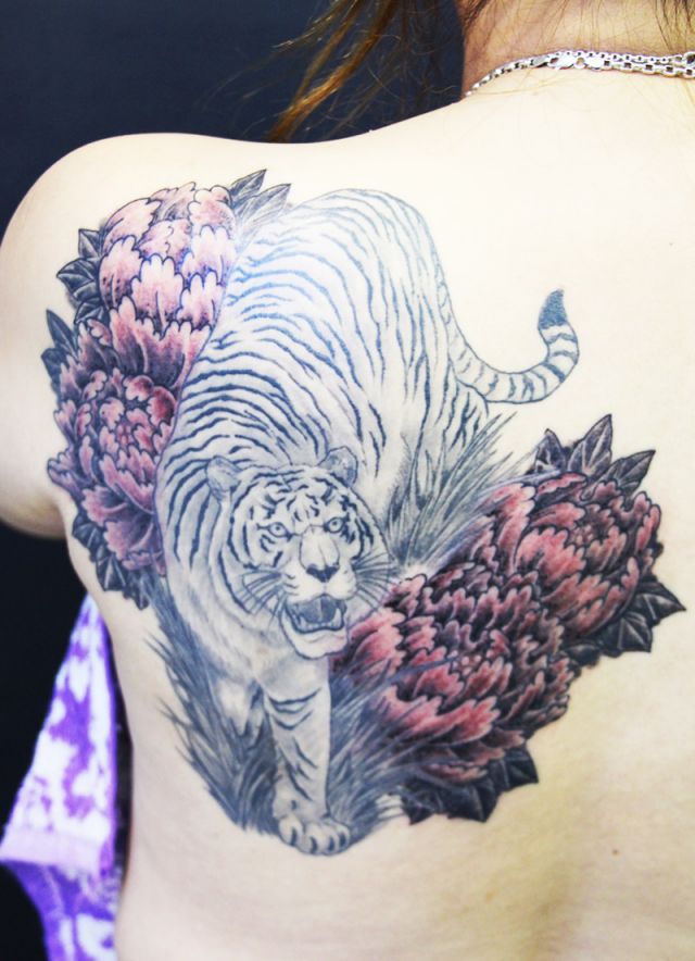 背中,女性,虎,牡丹,ブラック＆グレー,烏彫りタトゥー/刺青デザイン画像