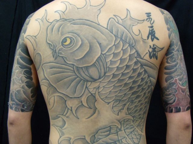 鯉,背中,ブラック＆グレー,抜きタトゥー/刺青デザイン画像