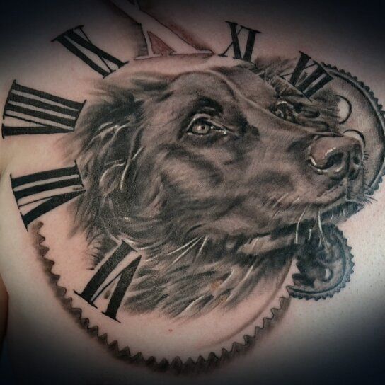 胸,時計,犬,ポートレート,ブラック＆グレイ,ブラック＆グレー,烏彫り,ブラック＆グレイタトゥー/刺青デザイン画像