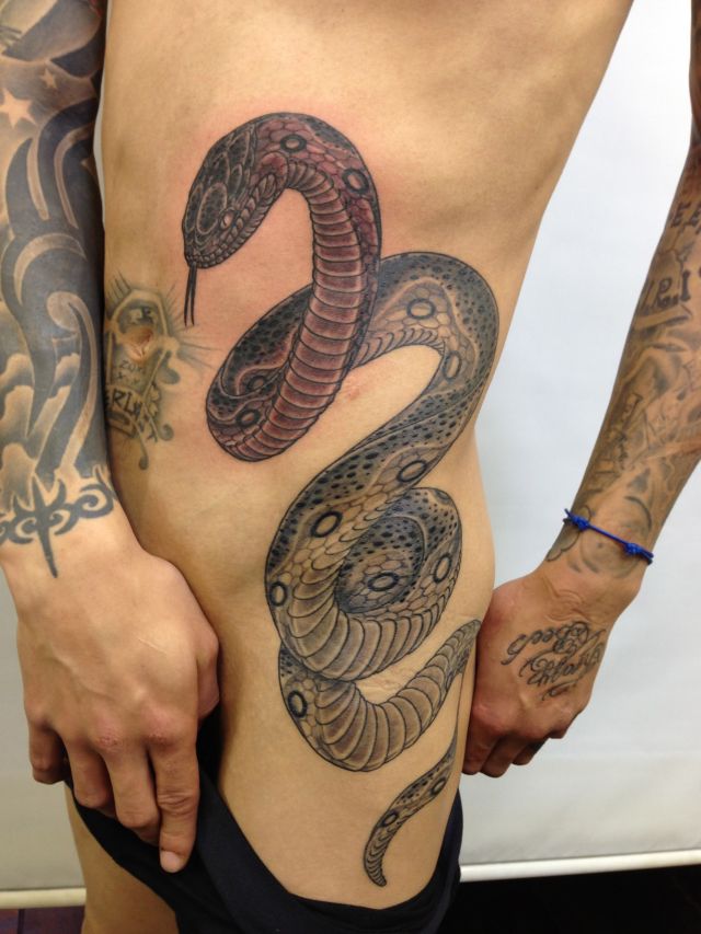 腹,蛇,ブラック＆グレイ,烏彫りタトゥー/刺青デザイン画像