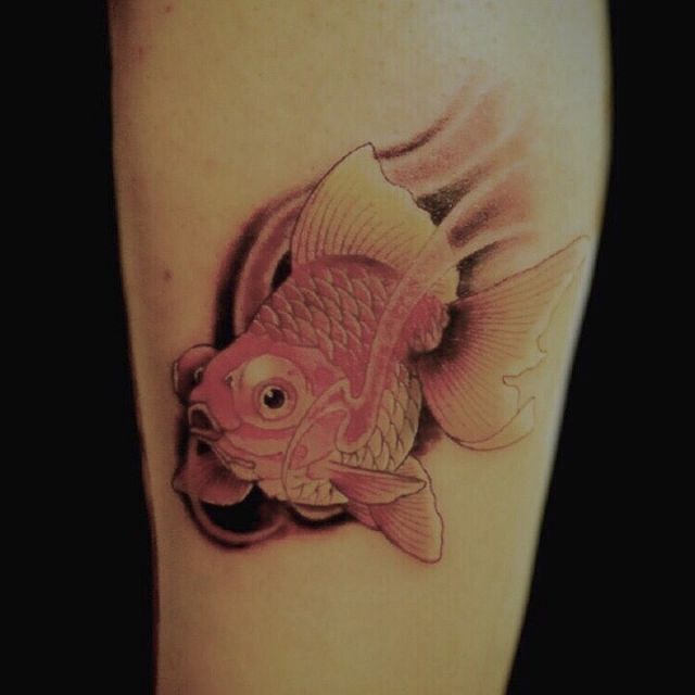 足,金魚,カラータトゥー/刺青デザイン画像