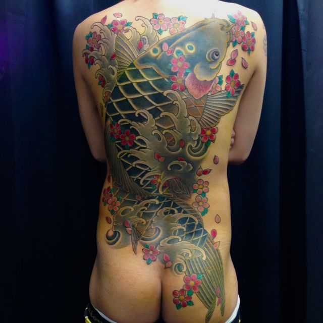 背中,鯉,桜,のぼり鯉,カラータトゥー/刺青デザイン画像