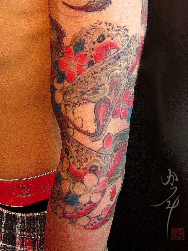 腕,肘,男性,蛇,桜,七分袖,桜散らし,カラータトゥー/刺青デザイン画像