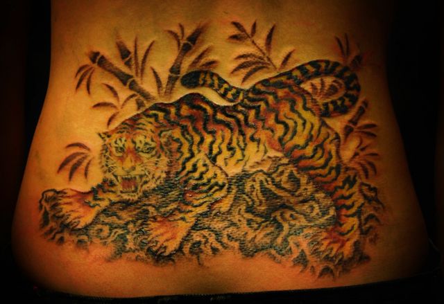 腰,女性,虎,動物タトゥー/刺青デザイン画像