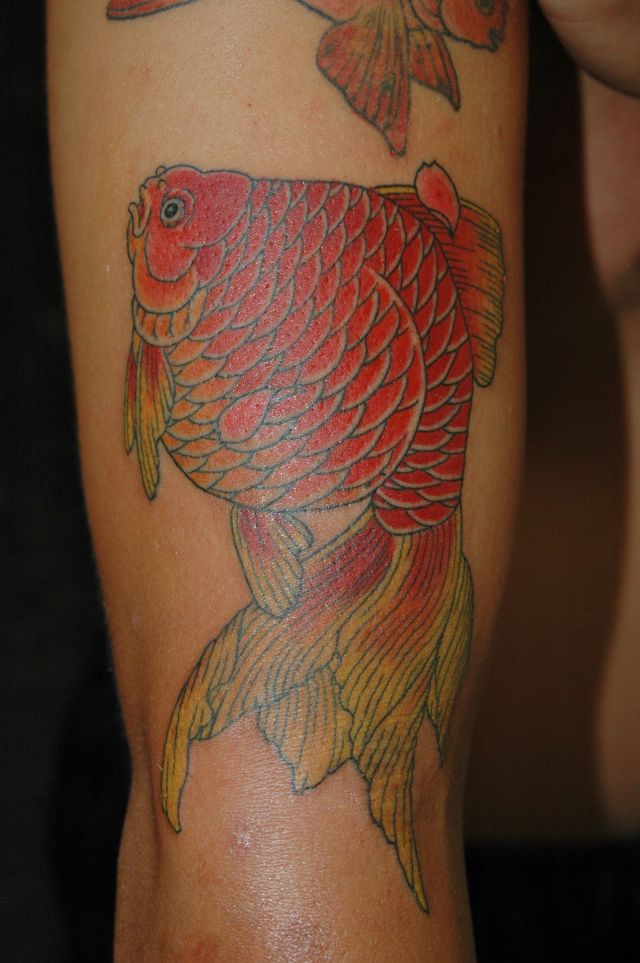 腕,金魚,カラータトゥー/刺青デザイン画像
