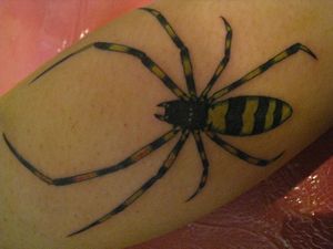 蜘蛛,トライバル,腕タトゥー/刺青デザイン画像