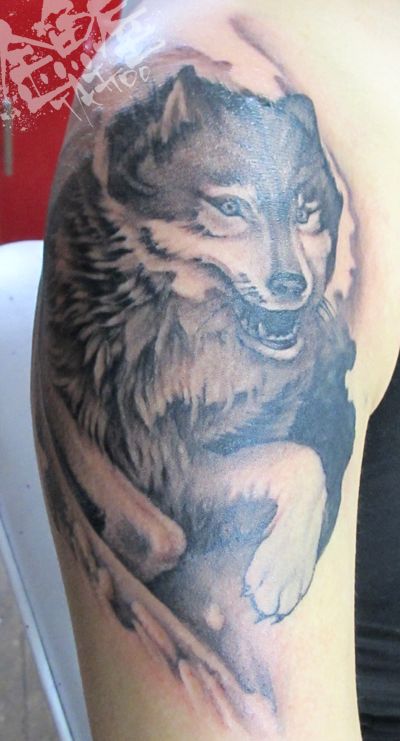 腕,肩,肩腕,狼,ブラック＆グレイタトゥー/刺青デザイン画像