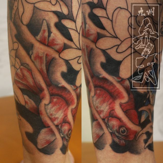 金魚,百合,九分袖タトゥー/刺青デザイン画像