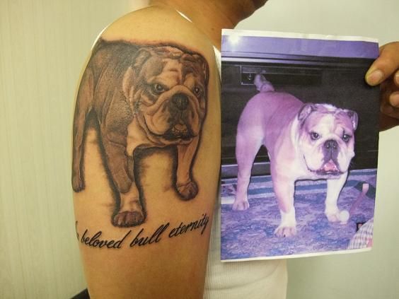腕,犬,ポートレイト,ブラック＆グレイタトゥー/刺青デザイン画像
