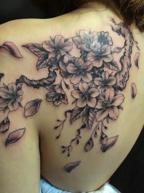 女性,背中,桜タトゥー/刺青デザイン画像