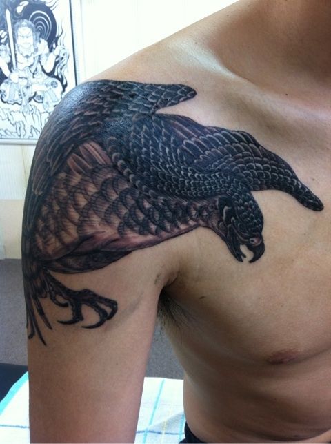 肩,鷹,ブラック＆グレー,鳥,動物タトゥー/刺青デザイン画像