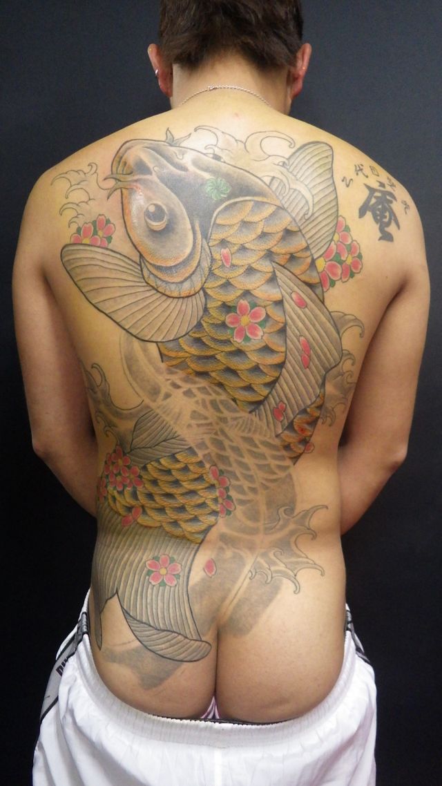 背中,鯉,桜散らし,カラータトゥー/刺青デザイン画像