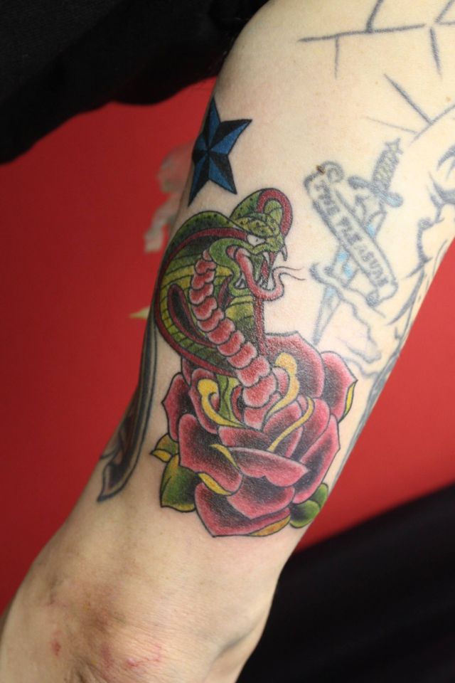 腕,大蛇,蛇,薔薇,バラ,コブラ,カラー,カラフルタトゥー/刺青デザイン画像