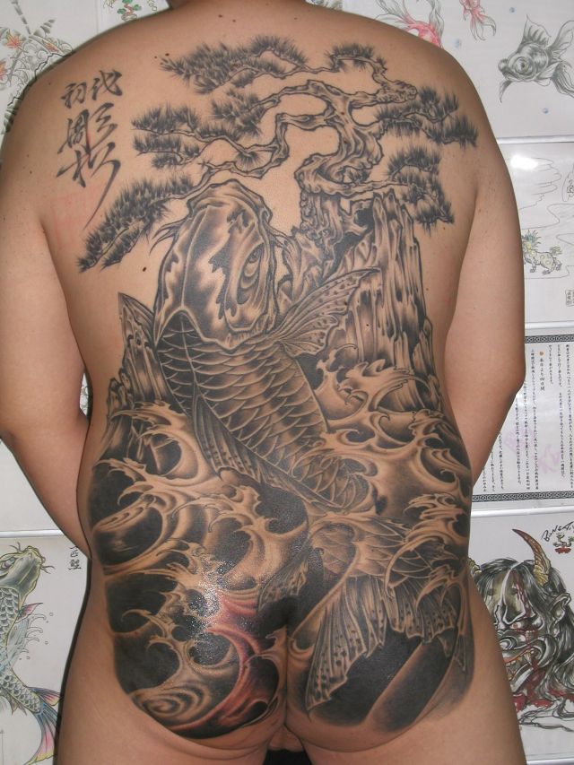 鯉,背中,松,ブラック＆グレータトゥー/刺青デザイン画像