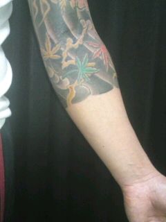 腕,七分袖,紅葉タトゥー/刺青デザイン画像