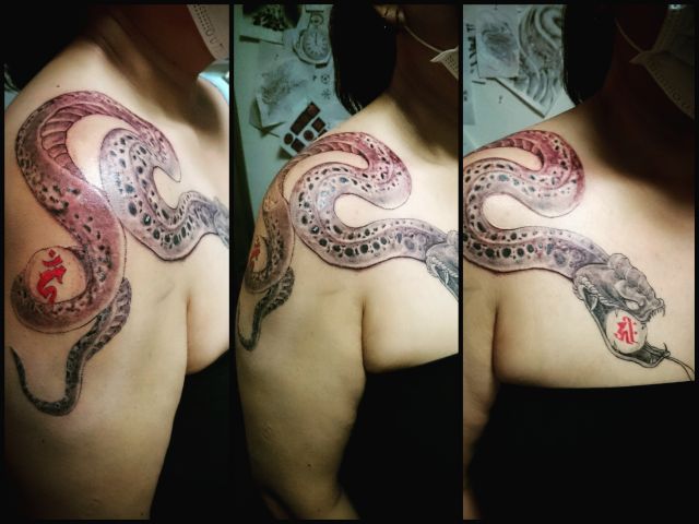 腕,肩,胸,女性,大蛇,蛇,ブラック＆グレイ,ブラック＆グレータトゥー/刺青デザイン画像