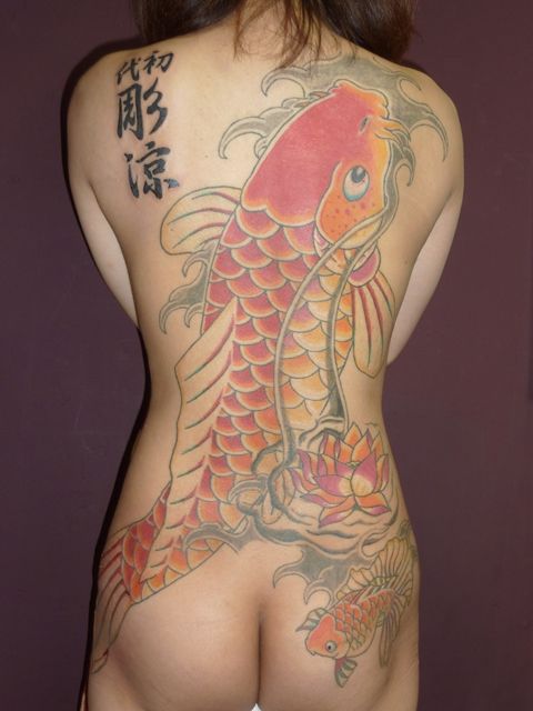 緋鯉,背中,カラータトゥー/刺青デザイン画像